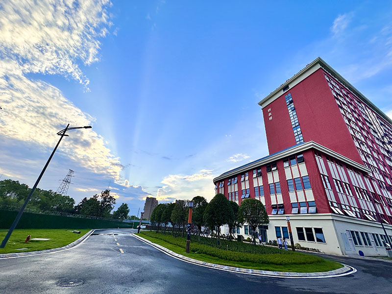 <b>[field:title/]</b>